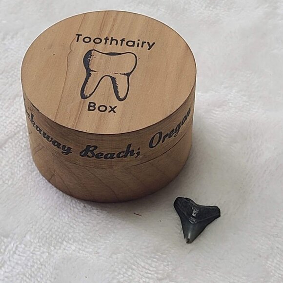 Other - Wooden Tooth Fairy Box Engraved Rockaway Beach Oregon with Shark Tooth Fossil